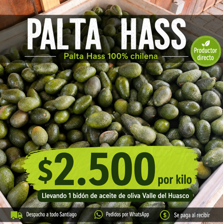 Palta Hass $4.990/kg